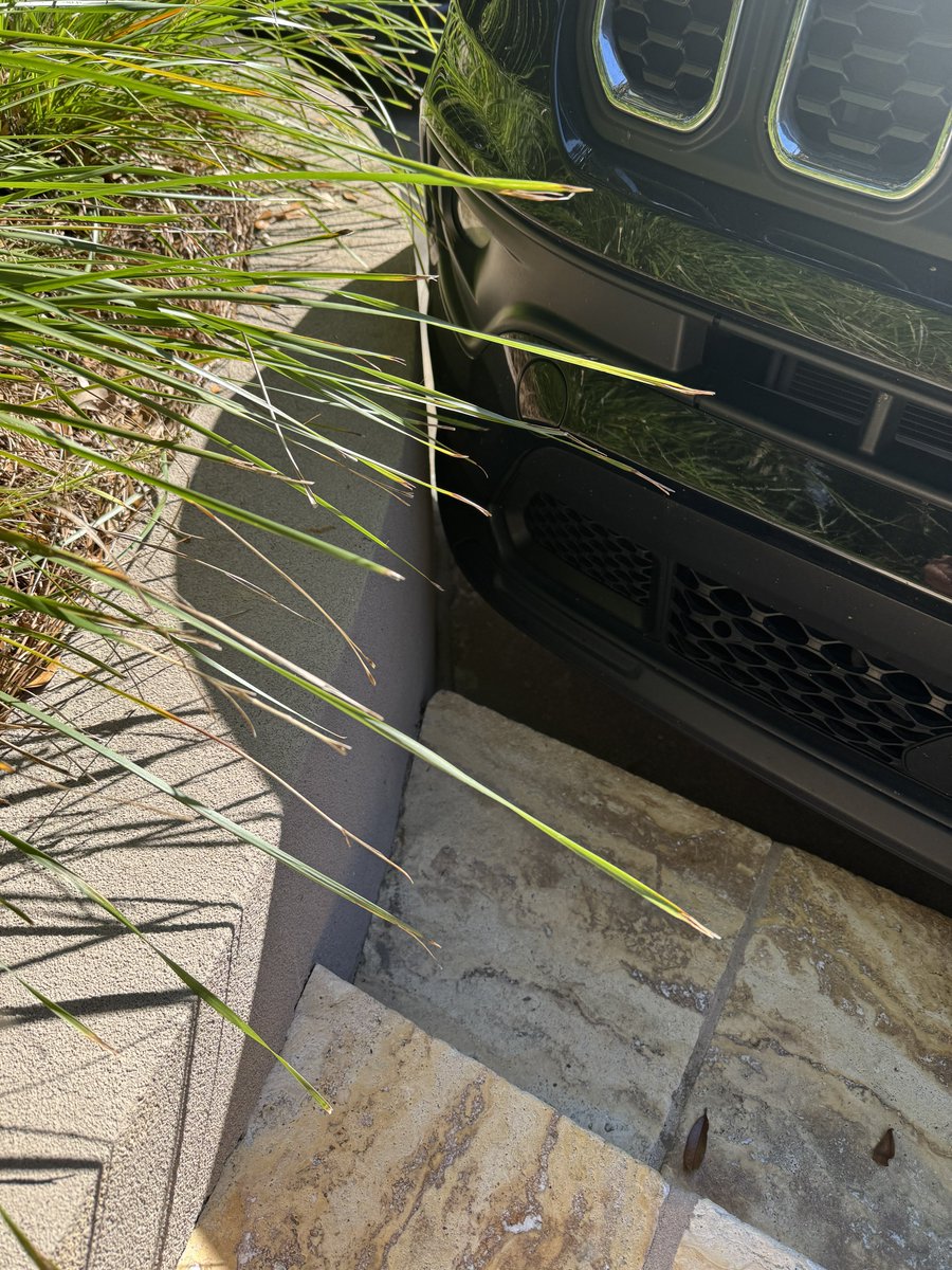 Nalin Haley tweet media