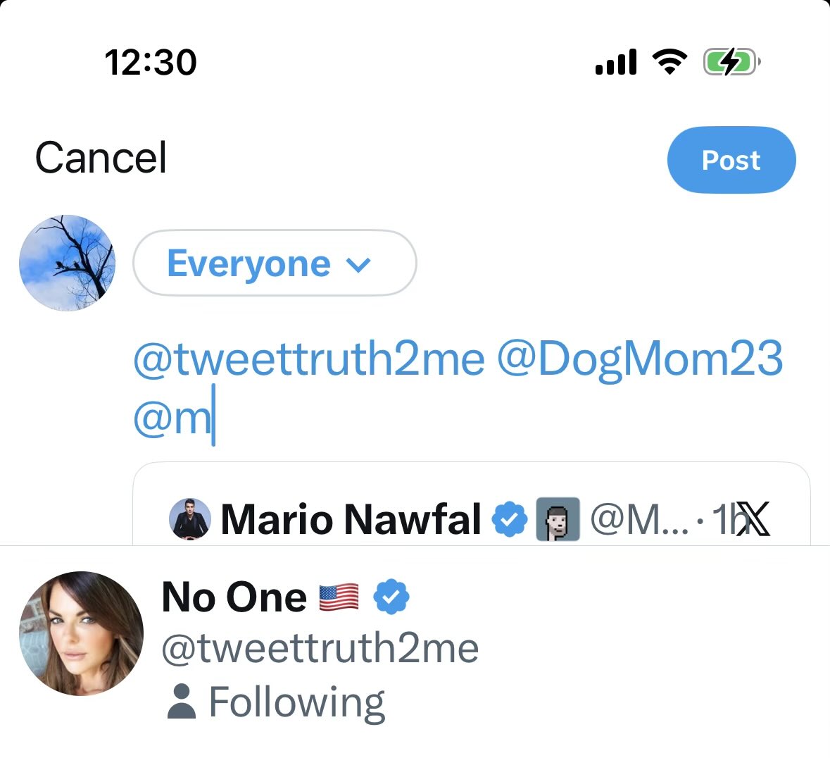 Thomas Gallagher tweet media