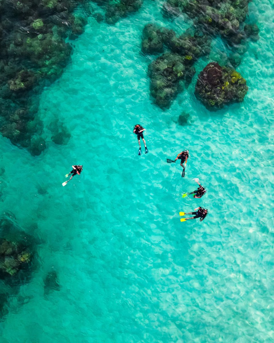 visitformentera's tweet photo. Turismo activo en Formentera: mar y rutas para descubrir la isla. ¿Te animas? Más en nuestra web.
___
Turisme actiu a Formentera: mar i rutes per descobrir l’illa. T’hi animes? Més al web.

#formentera #turismoactivo #baleares https://t.co/NRyNNnBTGH