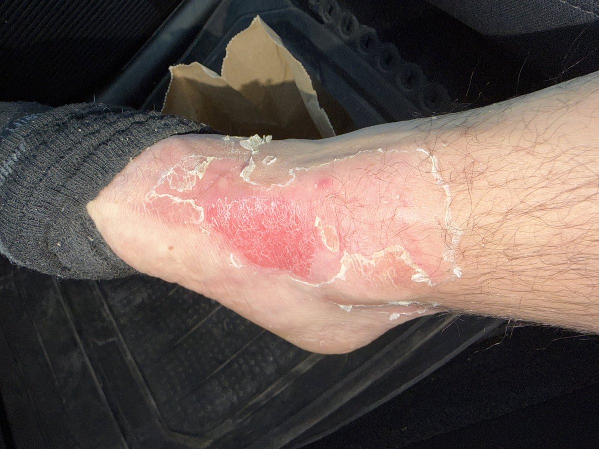 Scotian82 tweet media