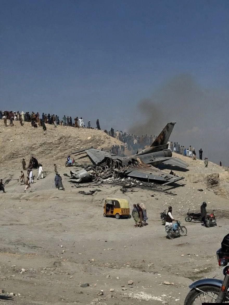 MARKHOR 𓄅 tweet media