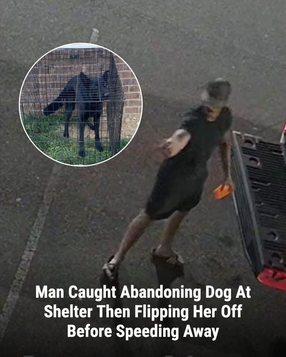 dominic dyer tweet media