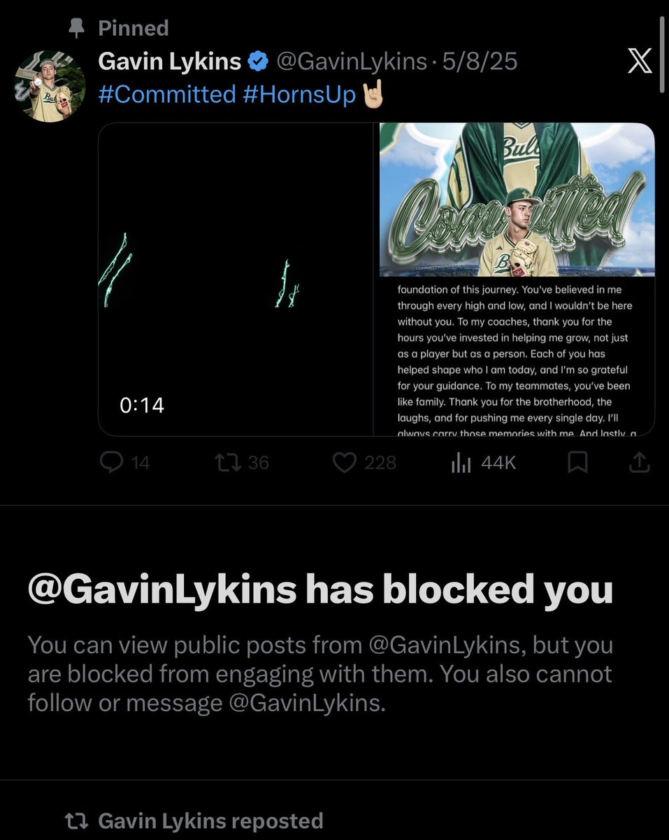 Wolf Chili 🐺 tweet media