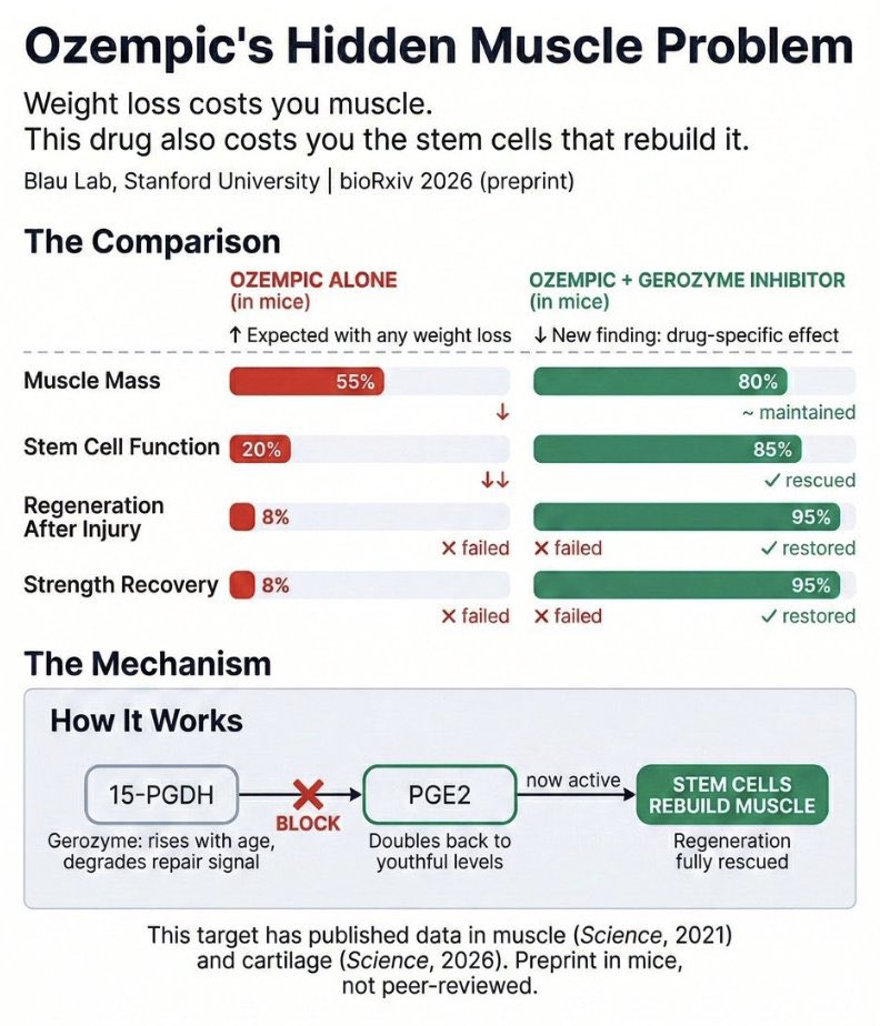 DR JANE RUBY™️ tweet media