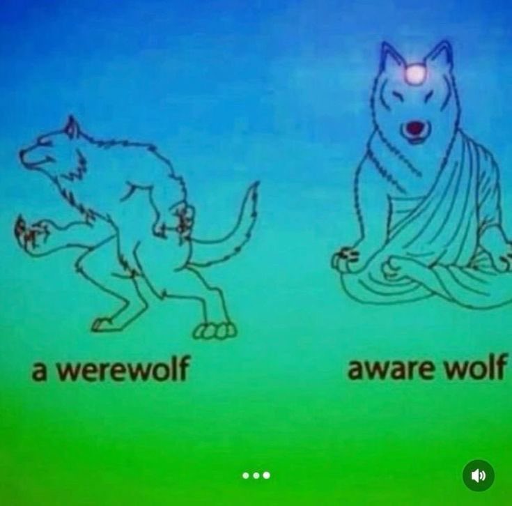 vivi ⋆˚࿔ tweet media