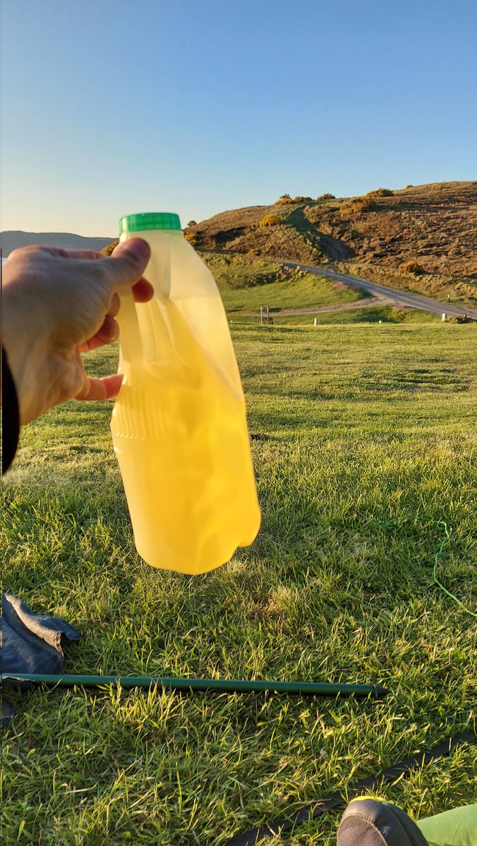 Herb Brubanter tweet media