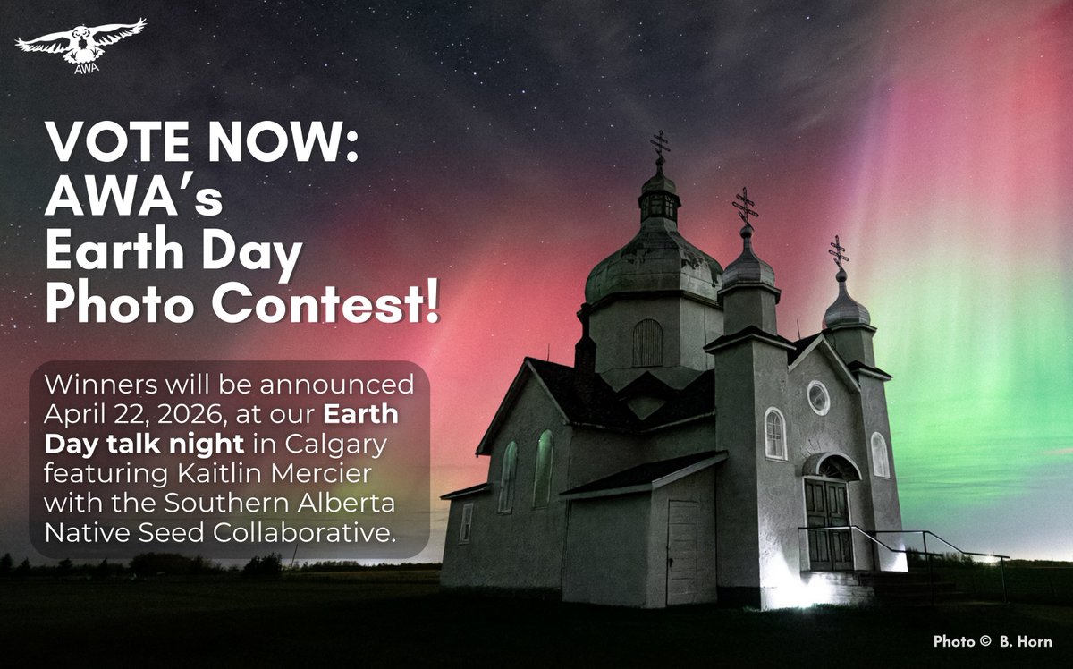 ABWilderness's tweet photo. 📢 Voting is officially OPEN for our Earth Day Photo Contest! 📢

We received over 150 photo submissions and have narrowed it down to 32 finalists. 

Public voting is now open and will run until 11:59 p.m. MDT on Apr. 15.

Vote here: https://t.co/qDW1AtadXq https://t.co/cOnf01bqyU
