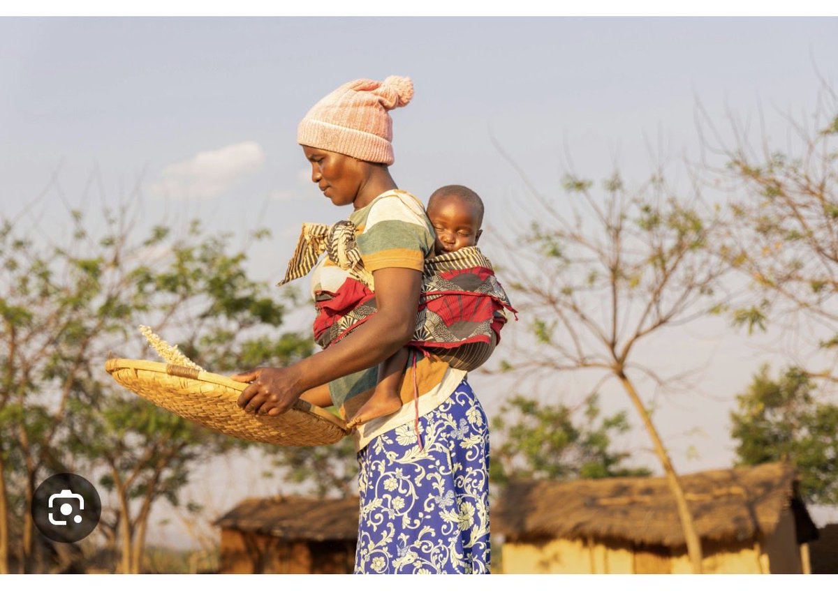 Katy Faust tweet media