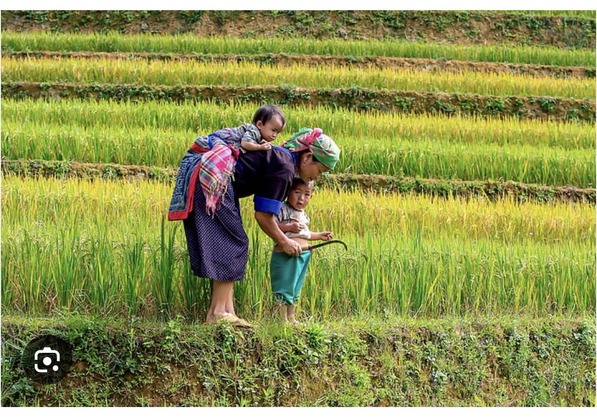 Katy Faust tweet media