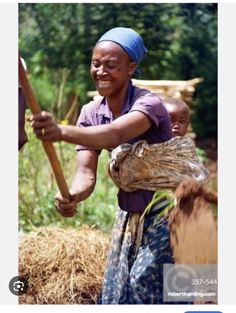 Katy Faust tweet media