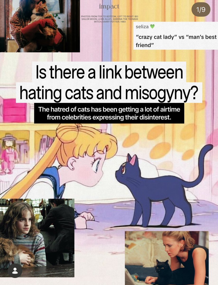 •ᴗ• i ♡ rockjin tweet media