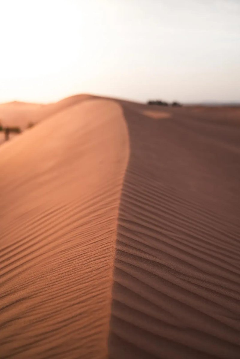 naturebeauty760's tweet photo. Morocco 🇲🇦 https://t.co/oPrUQQxX78