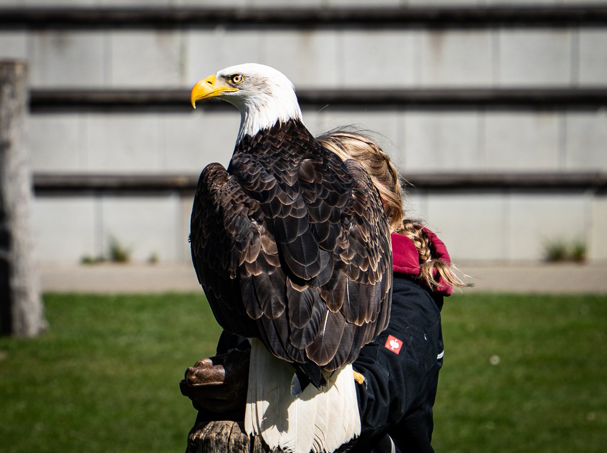 Küstenjunge tweet media