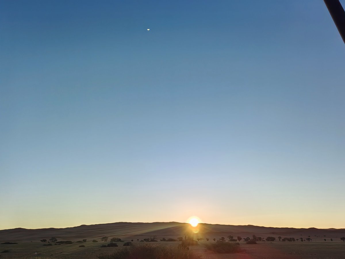 it's by deesign tweet media