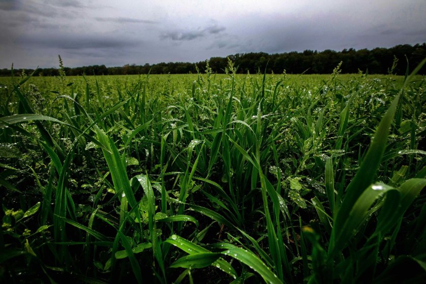 Energy Magazine Online tweet media