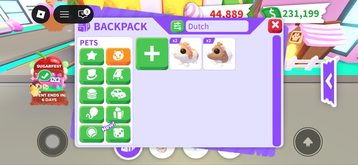 T0RHU's tweet photo. Trading red and chocolate Dutch guinea pigs! https://t.co/VfAfFsdlwA