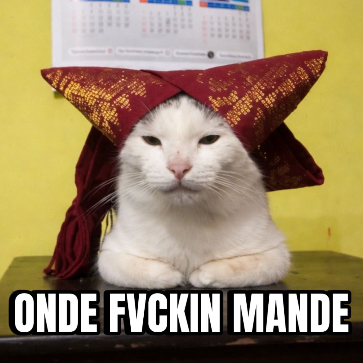 🌷°+. ʀ🅰wʀ ⋅˚₊ ୨୧ ‧₊ tweet media