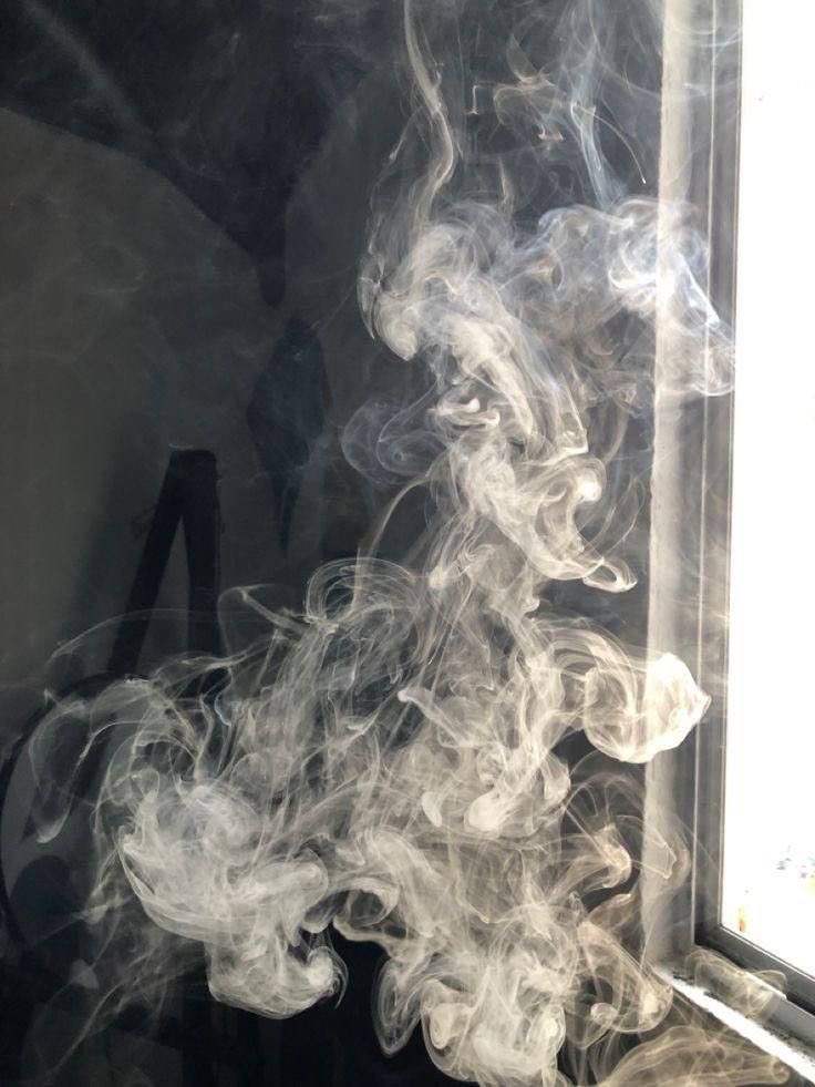 lydia ∘˙ ✶ tweet media