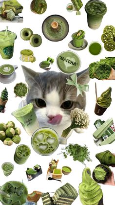 vyhoang._ tweet media