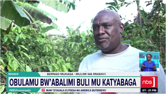 NBS Television tweet media