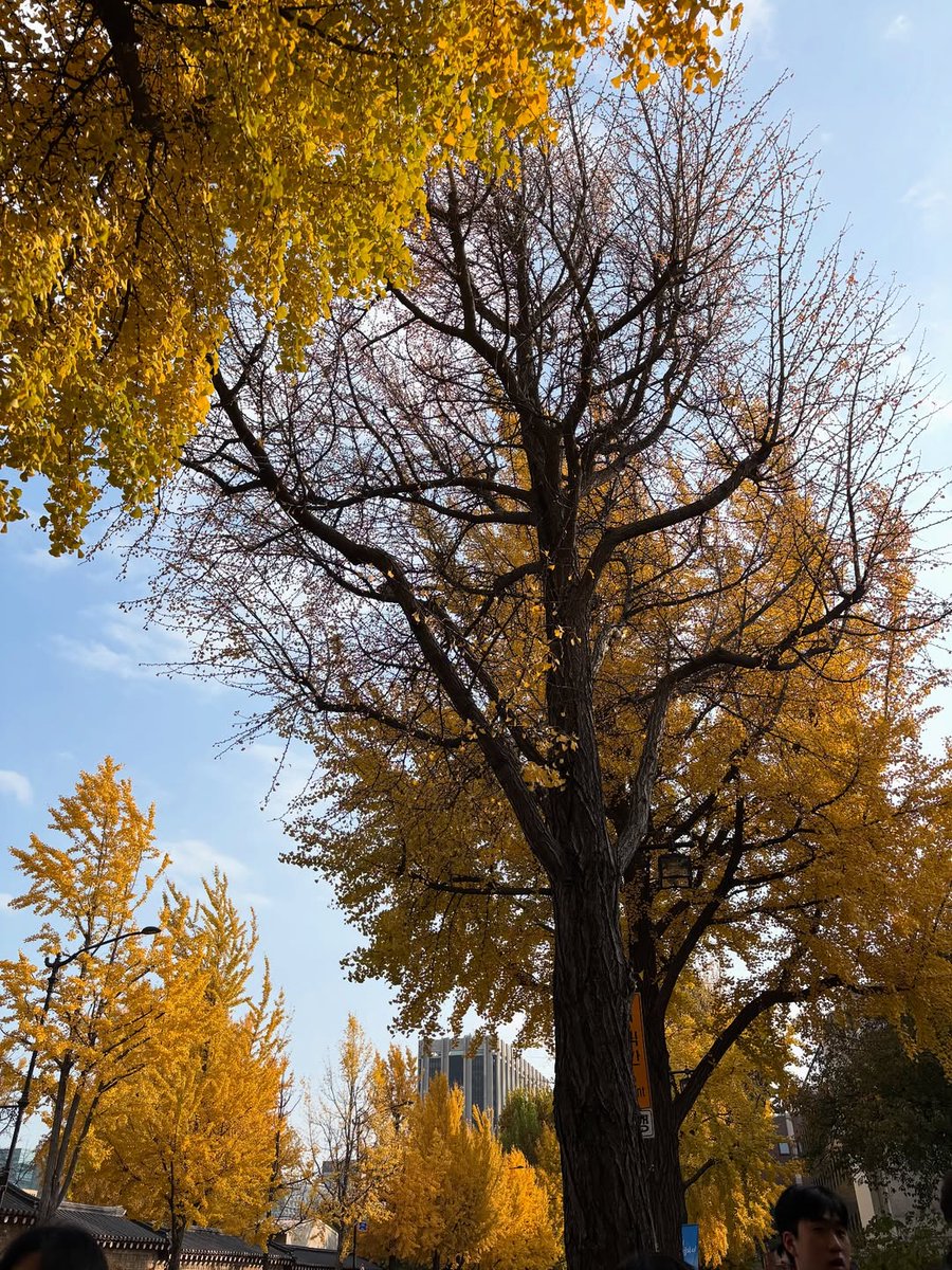 amiyo_235 tweet media