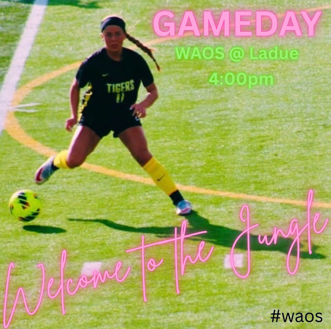 Coachguns's tweet image. #waos