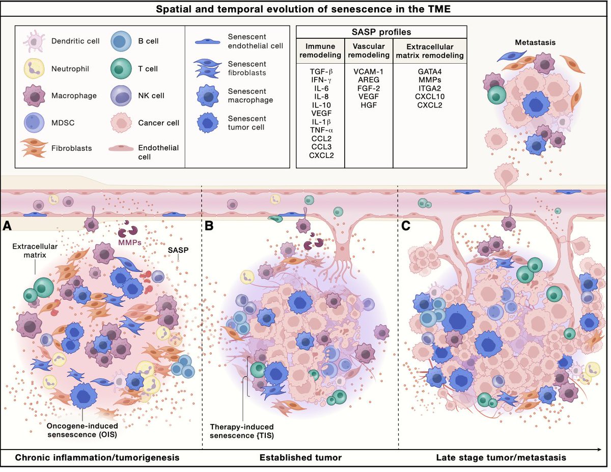 Eric Topol tweet media