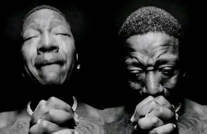 Gentle Mates tweet media