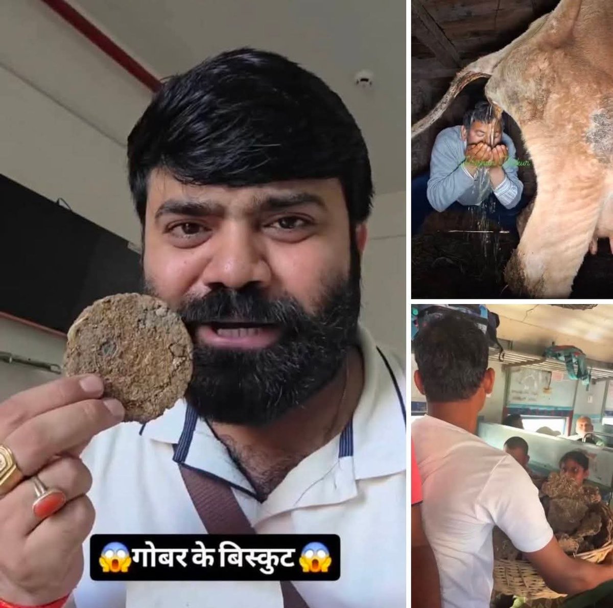 BorgeousCat tweet media