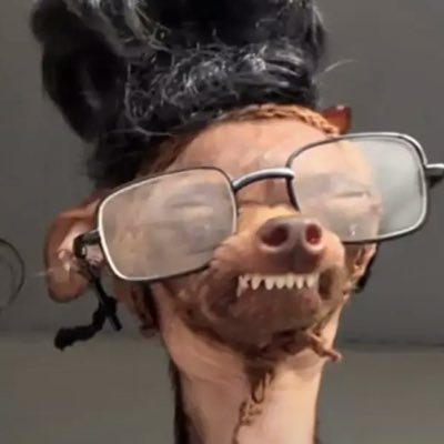 Lili Cross ❤️‍🩹🌷 tweet media