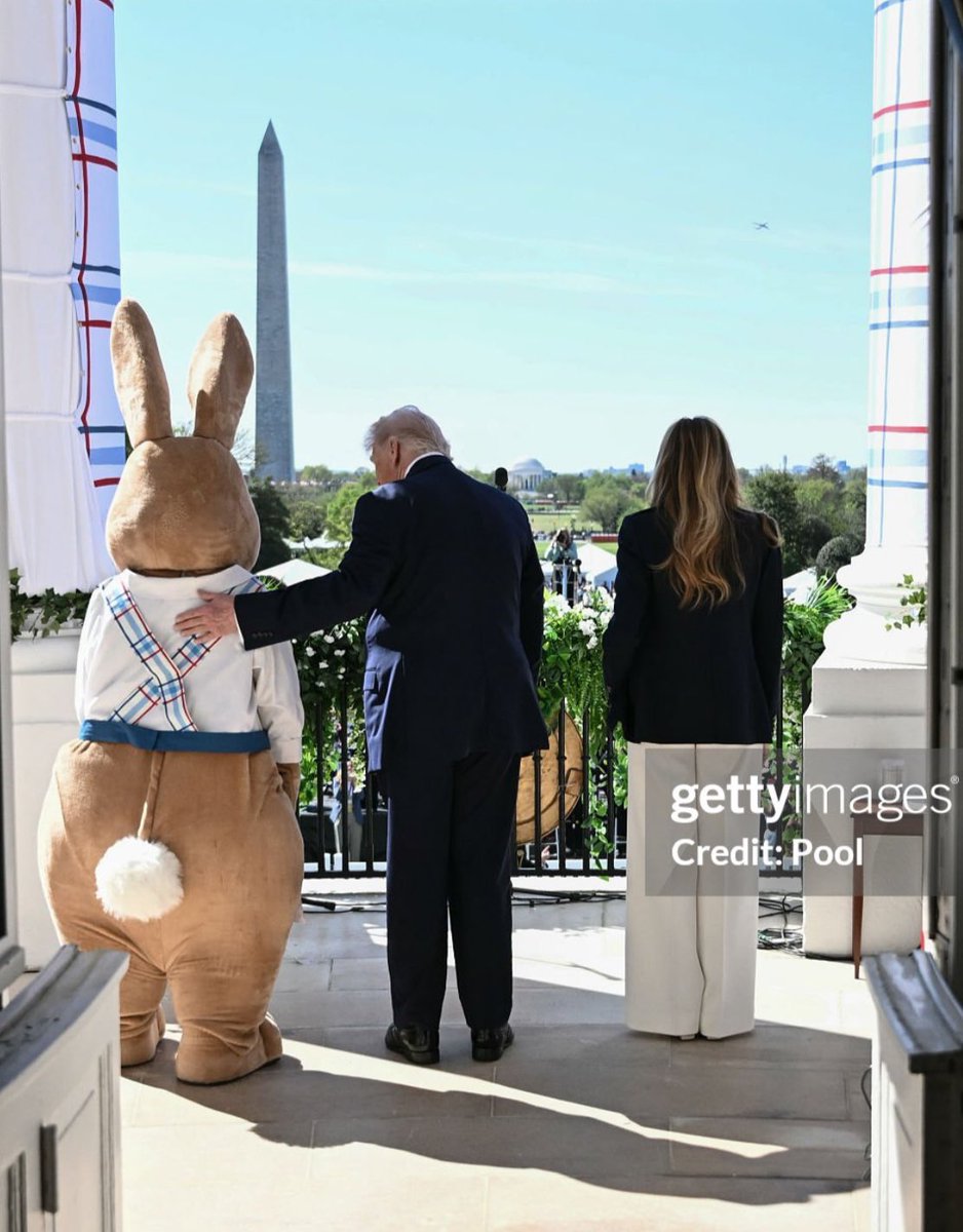 johnny maga tweet media