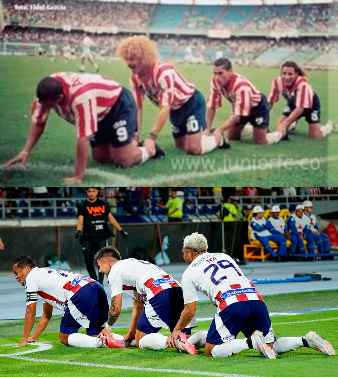 La Biblioteca del FPC tweet media