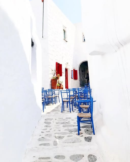 archistar tweet media