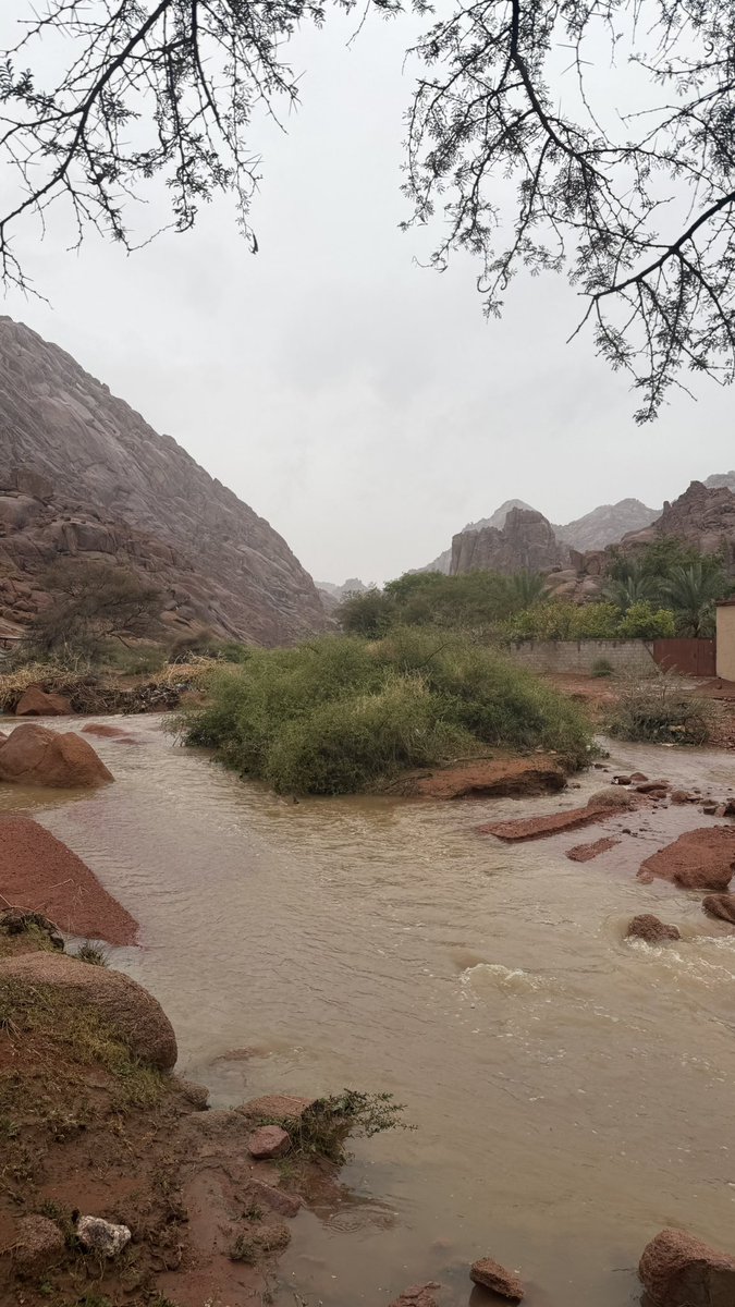 مها🤍hail tweet media