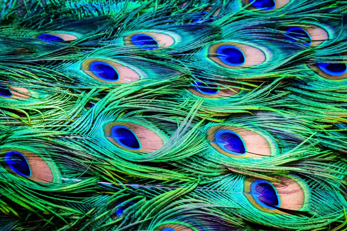 抹茶ください 🍵 tweet media