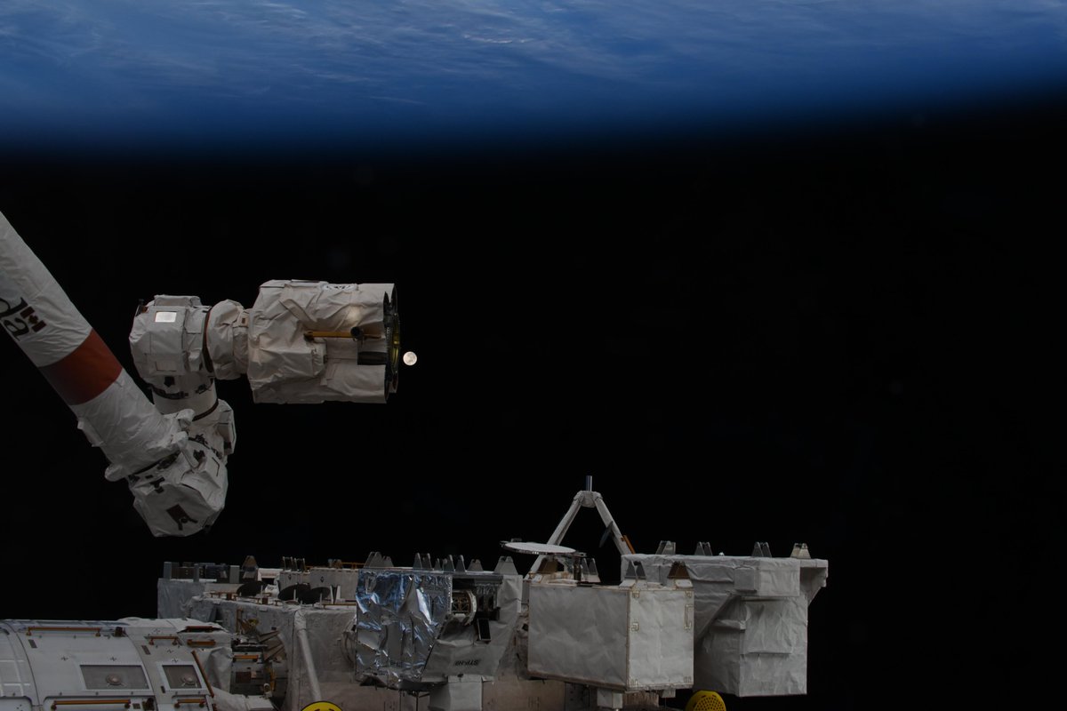 Chris Williams tweet media