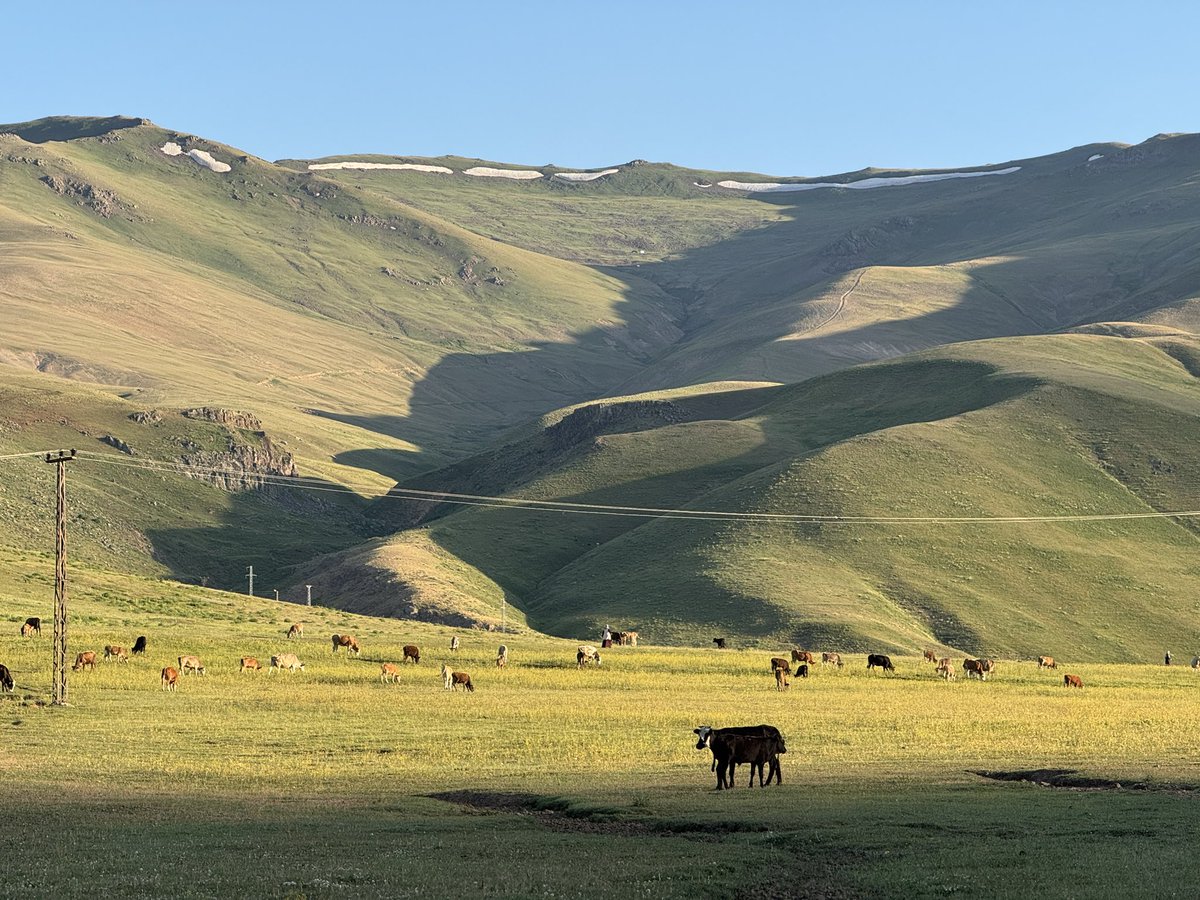 asrın çağrısı tweet media