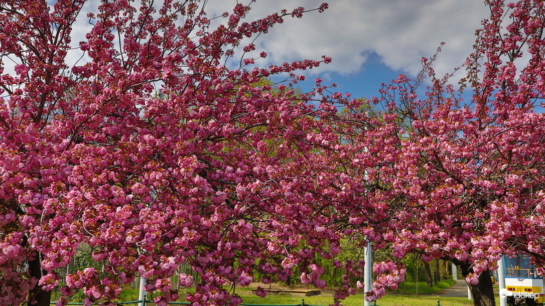 Időkép tweet media