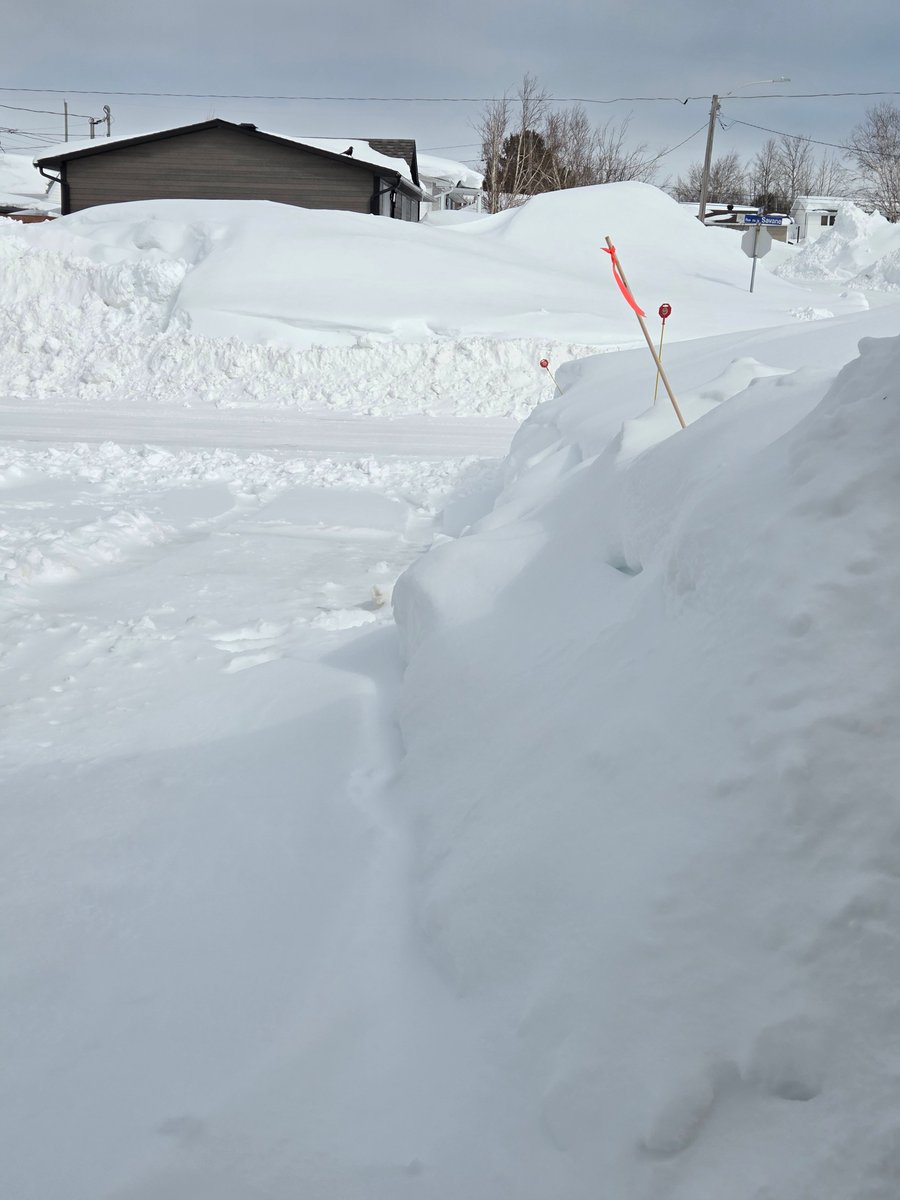 Ginette Leclair💞 tweet media