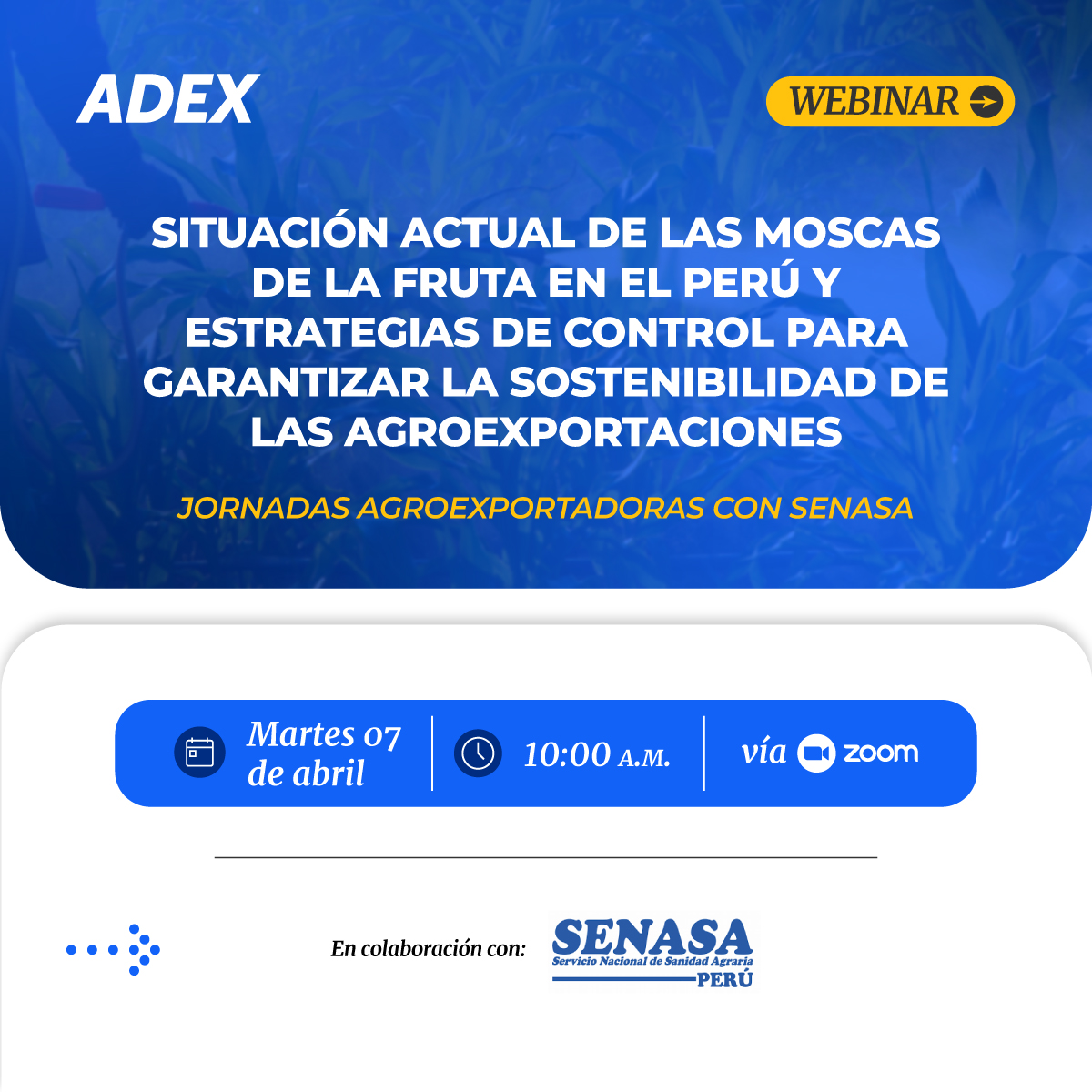 Asociación de Exportadores tweet media