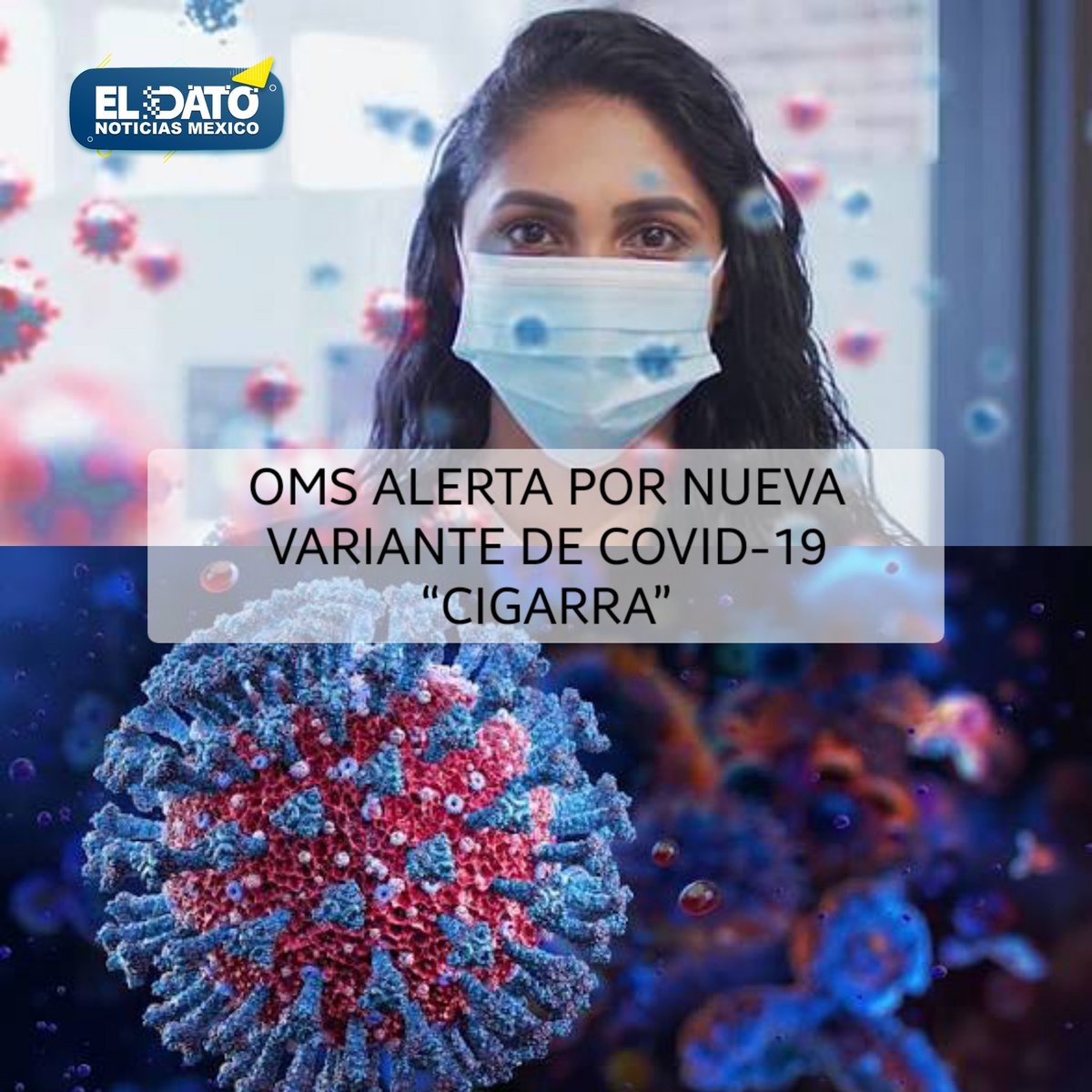 El Dato Noticias Morelos 📰 tweet media