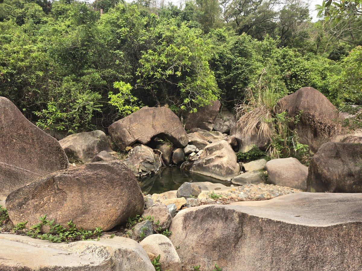 Peter Lidsky tweet media