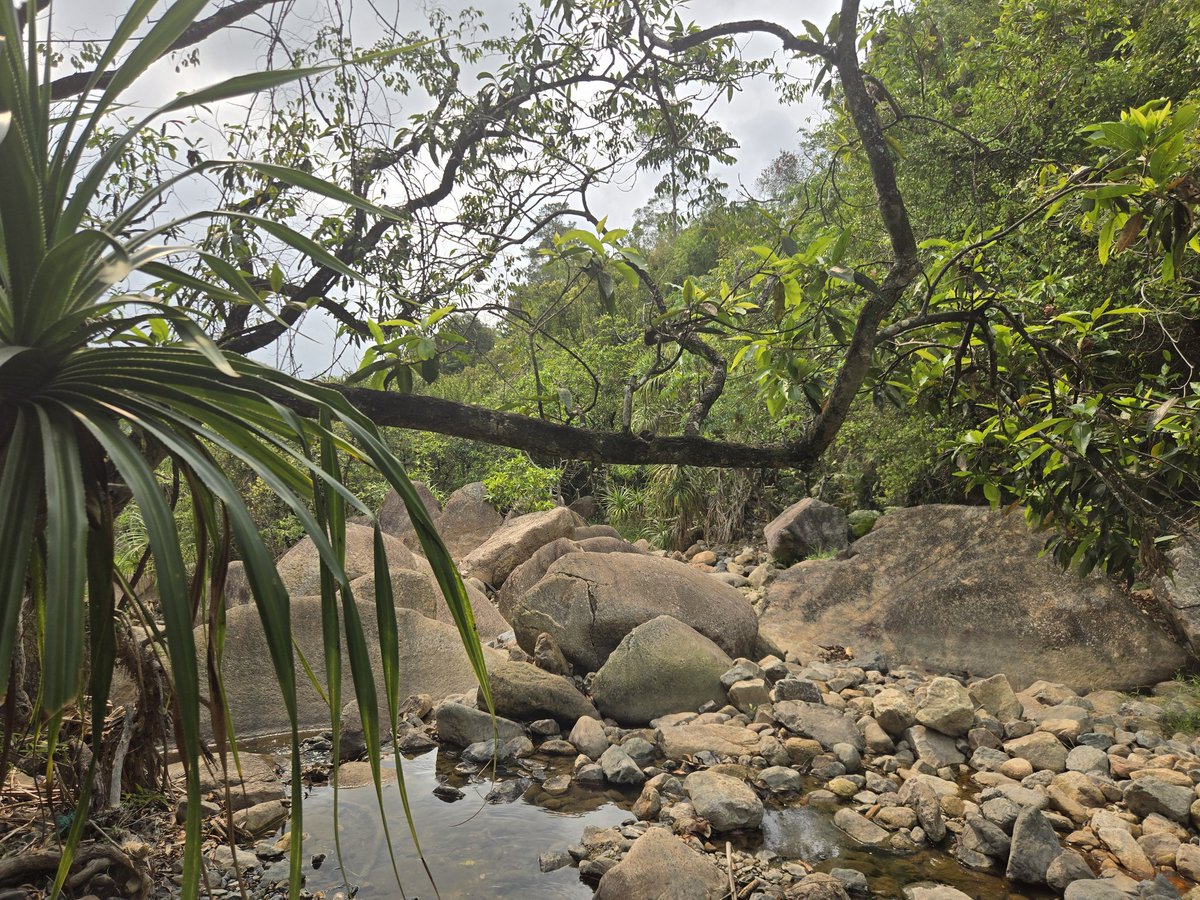 Peter Lidsky tweet media