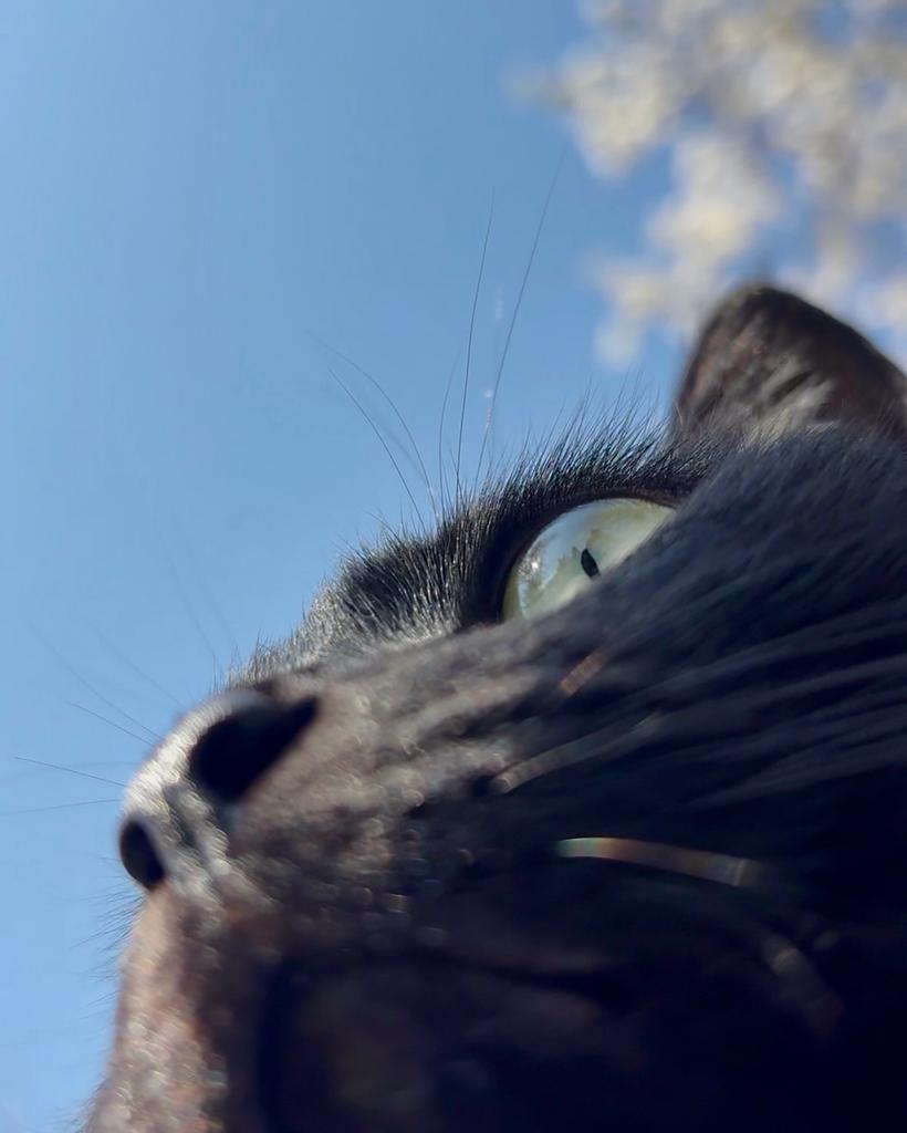 Purely Green tweet media