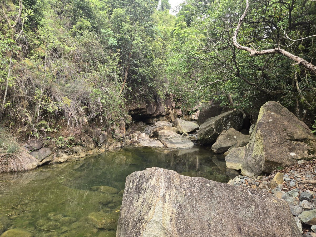 Peter Lidsky tweet media