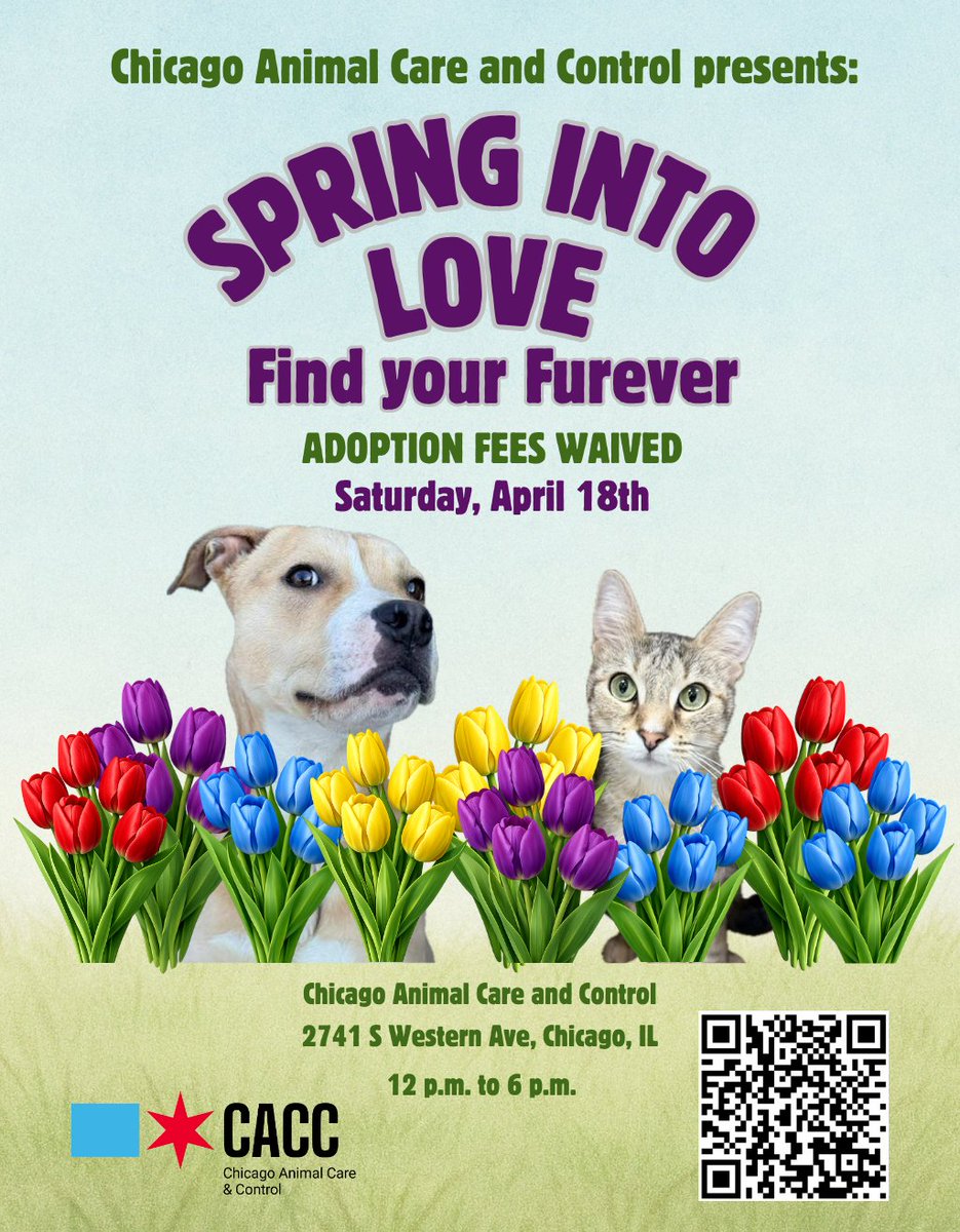 Chicago Animal Care and Control tweet media