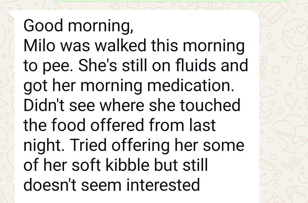 DKAstrology 🇭🇺🇯🇲🙏✨ tweet media