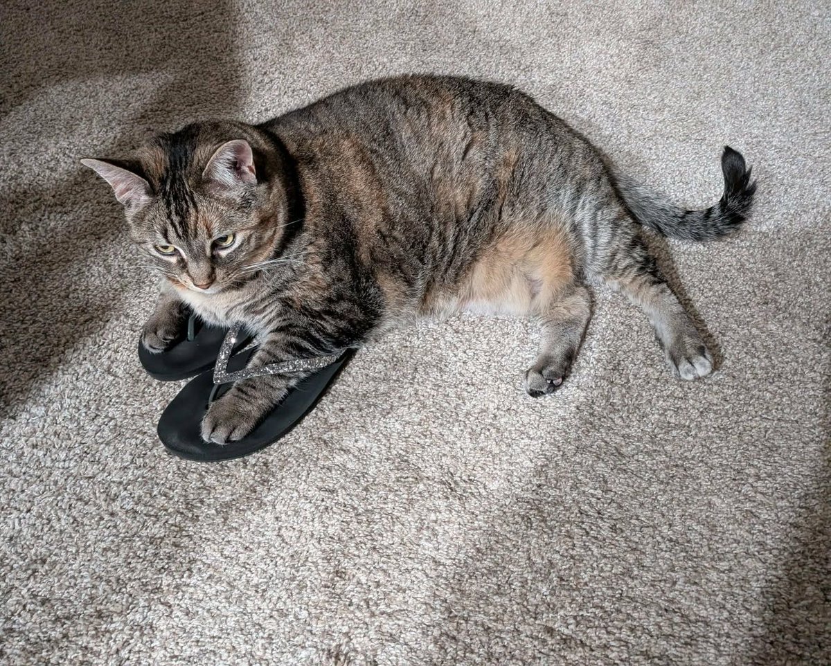 Carol J. Post tweet media