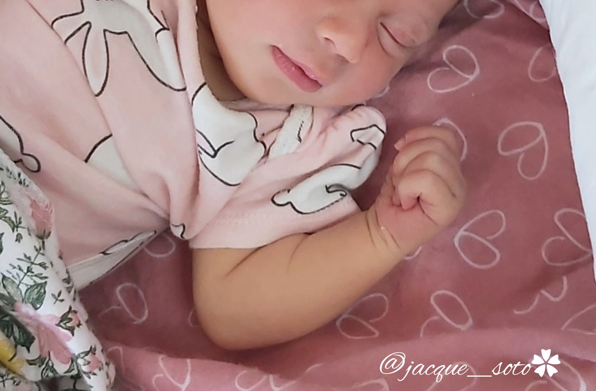 Jαcզυҽɭιɳҽ Sօȶօ✦ tweet media