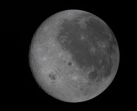 Mario Boss tweet media